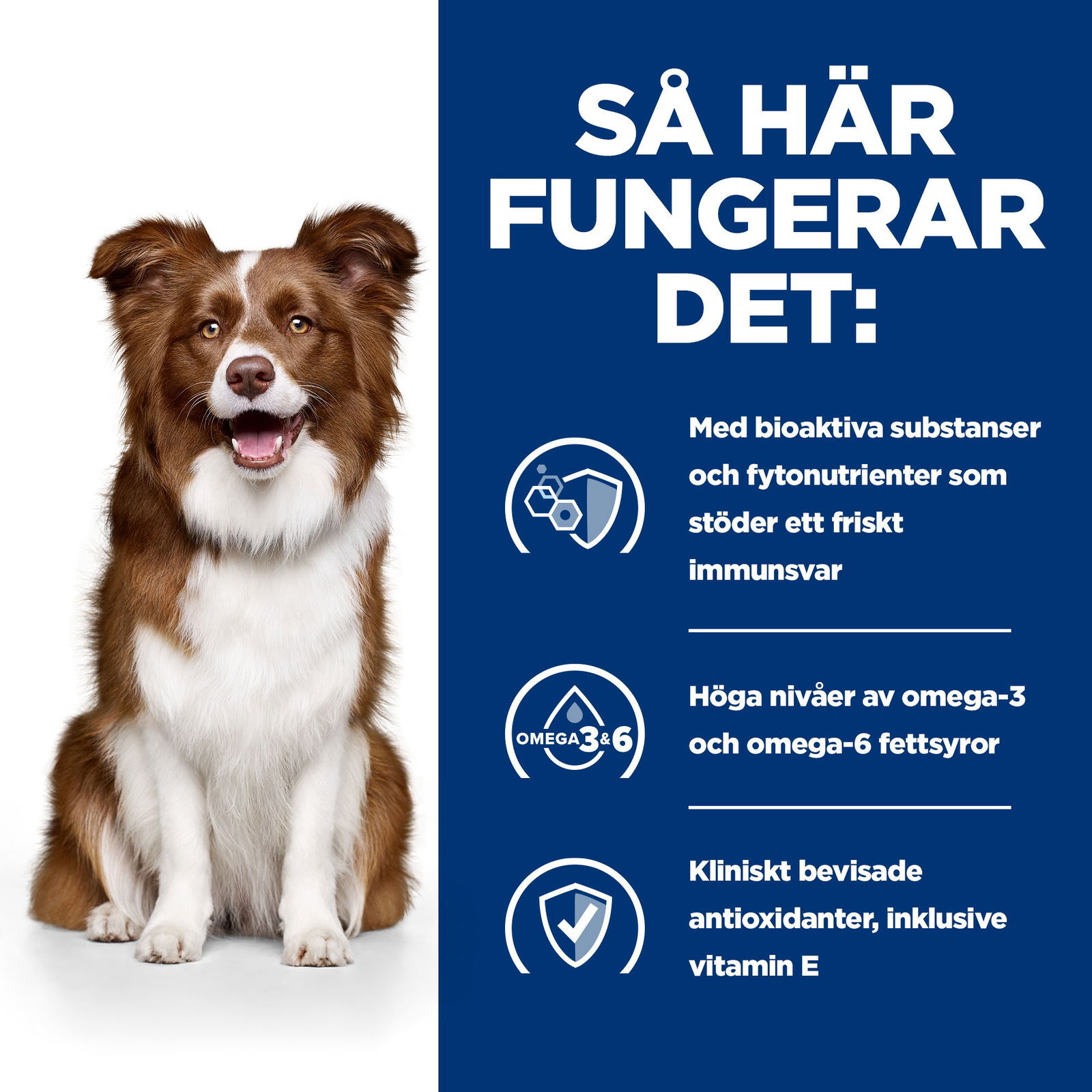 Hills Diet Dog Derm Defense