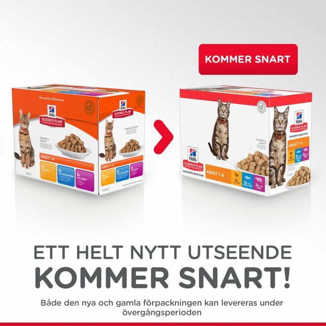 Hill's Science Plan Cat Chicken,Beef & Ocean Fish 12x85 g