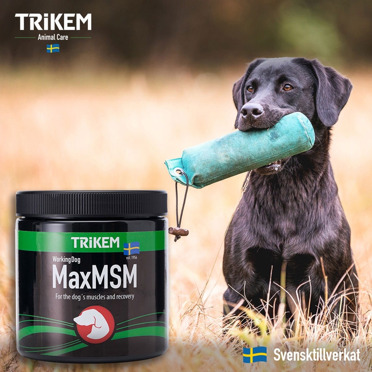 TRIKEM WorkingDog Max MSM+