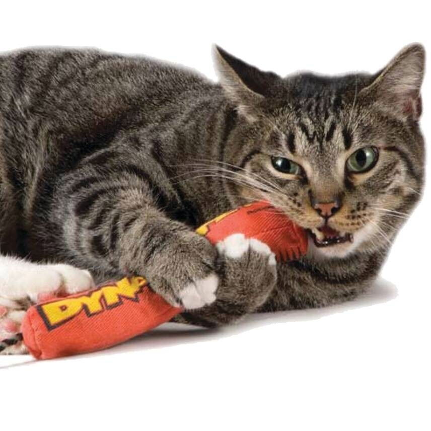 Catstages Green Magic Dynamite Red