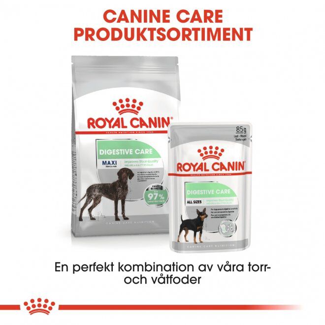 Royal Canin Maxi Digestive Care