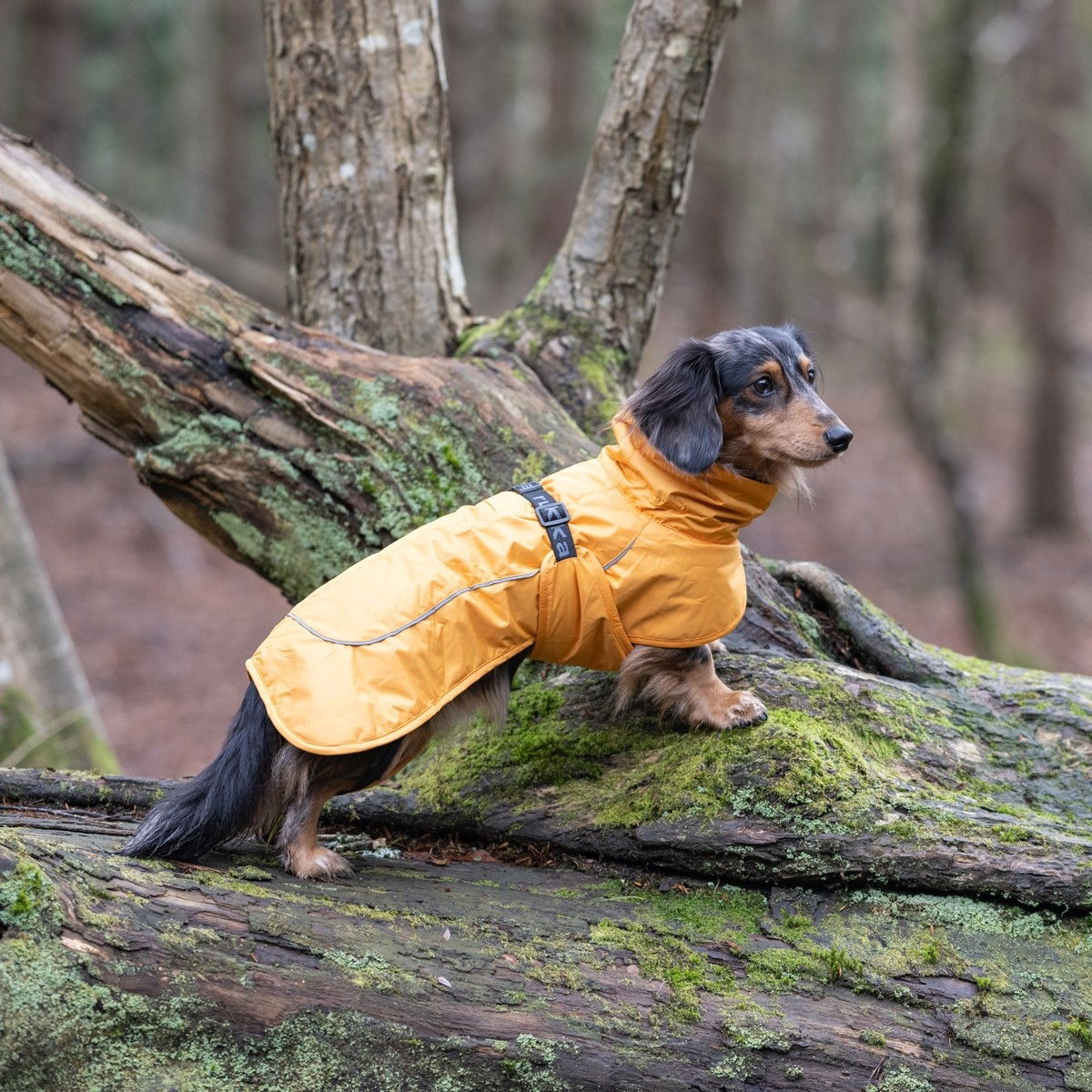 Rukka Stormy coat yellow