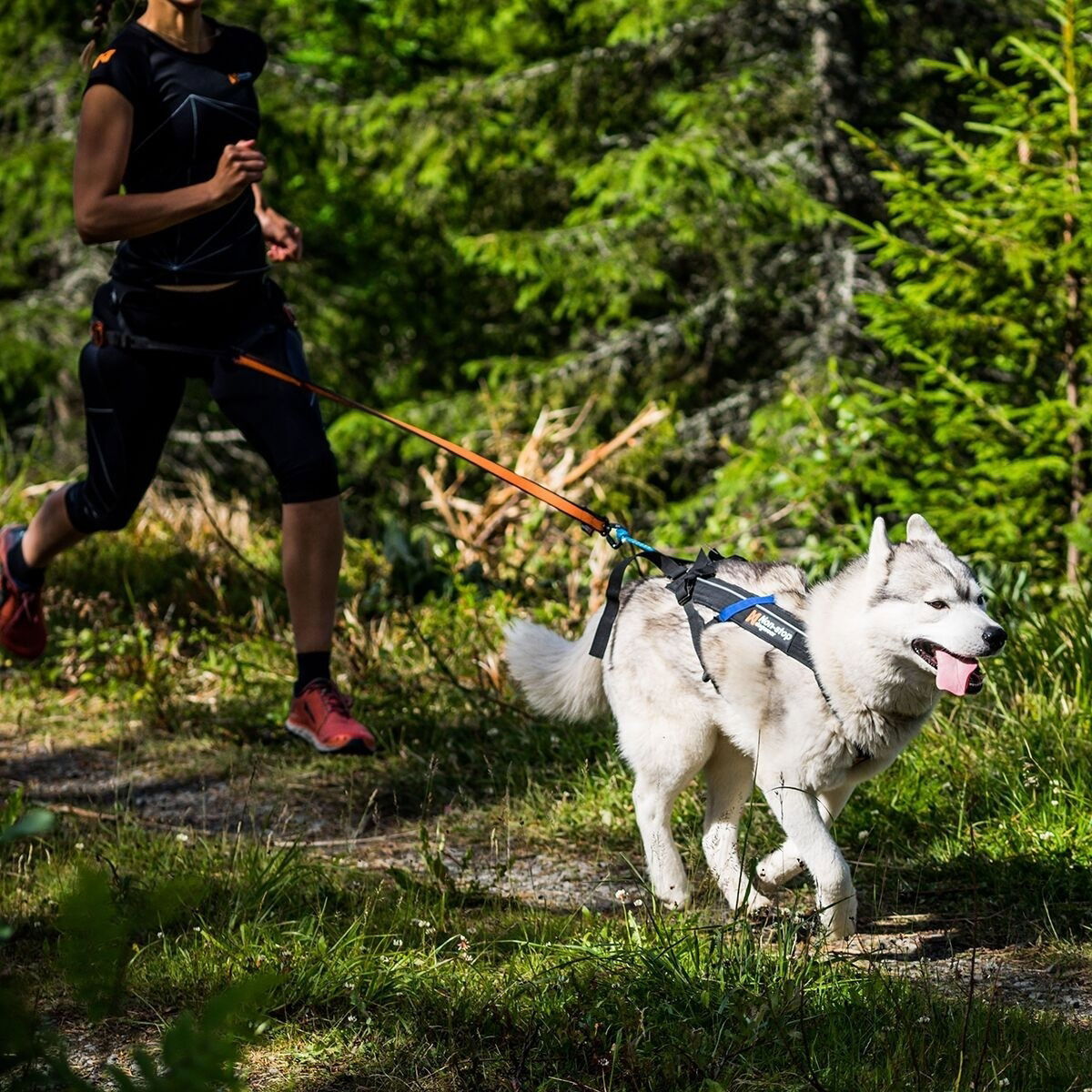 Non-stop Freemotion Dragsele 