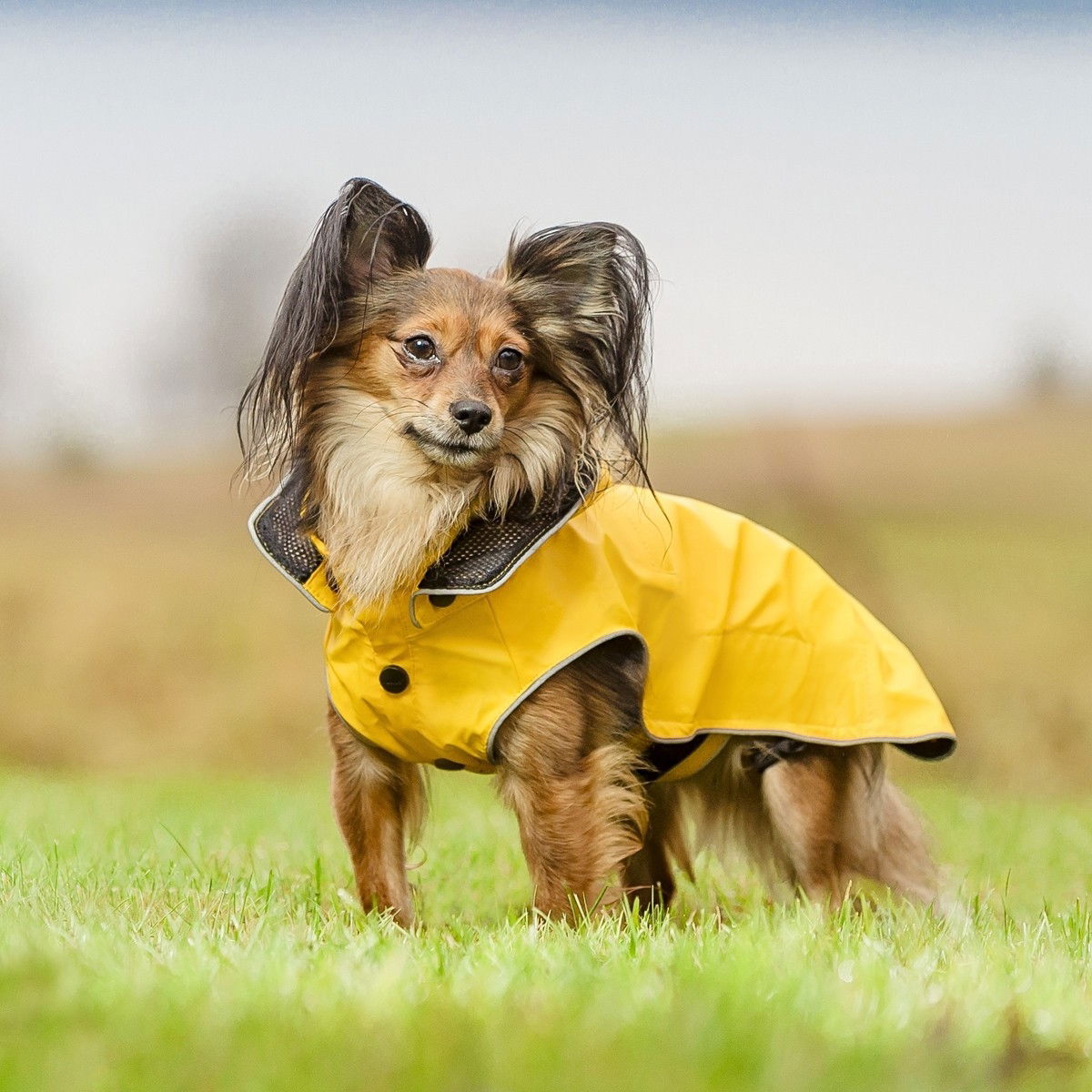 Rukka Stream Regntäcke Gul