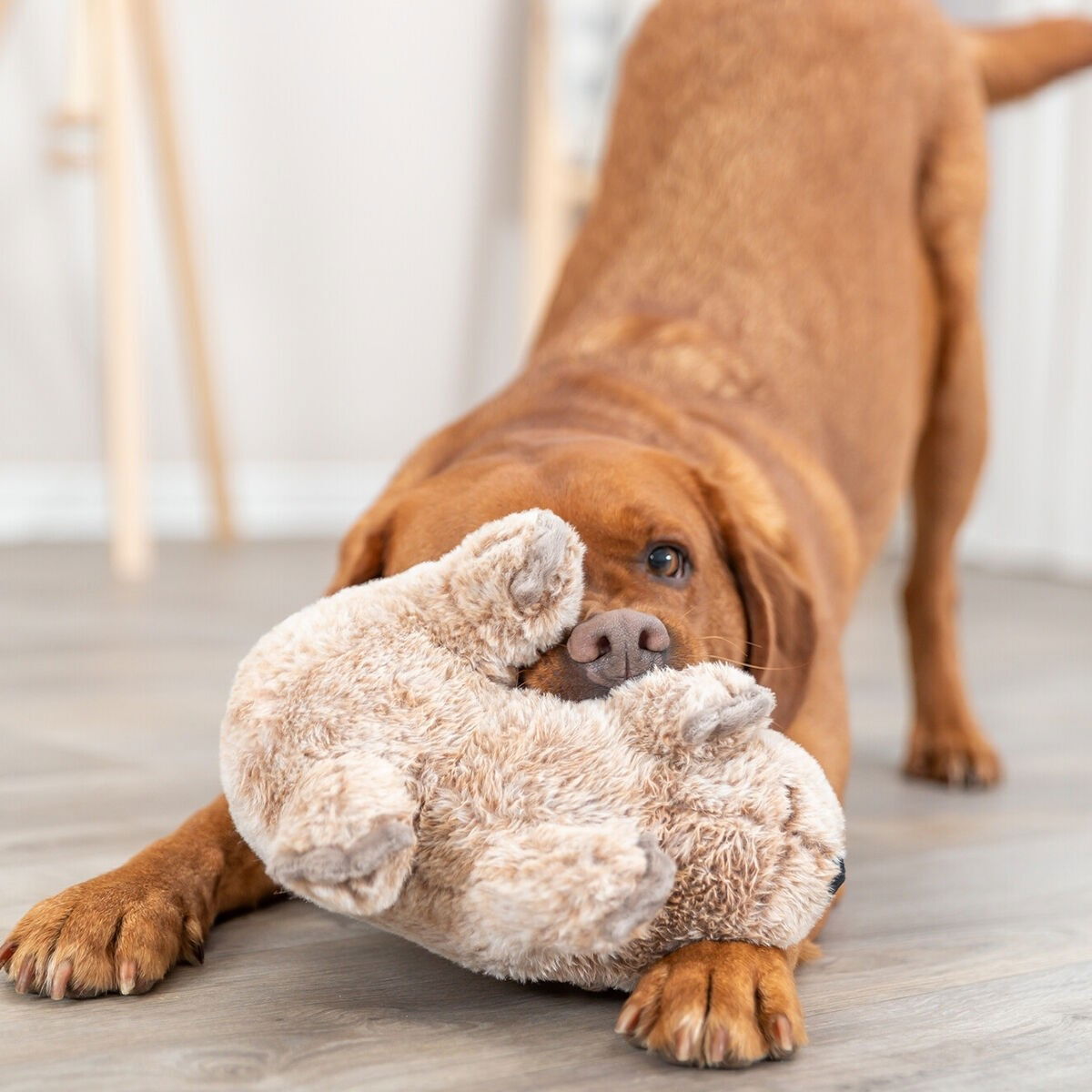 Trixie Wombat plush recycled 25cm