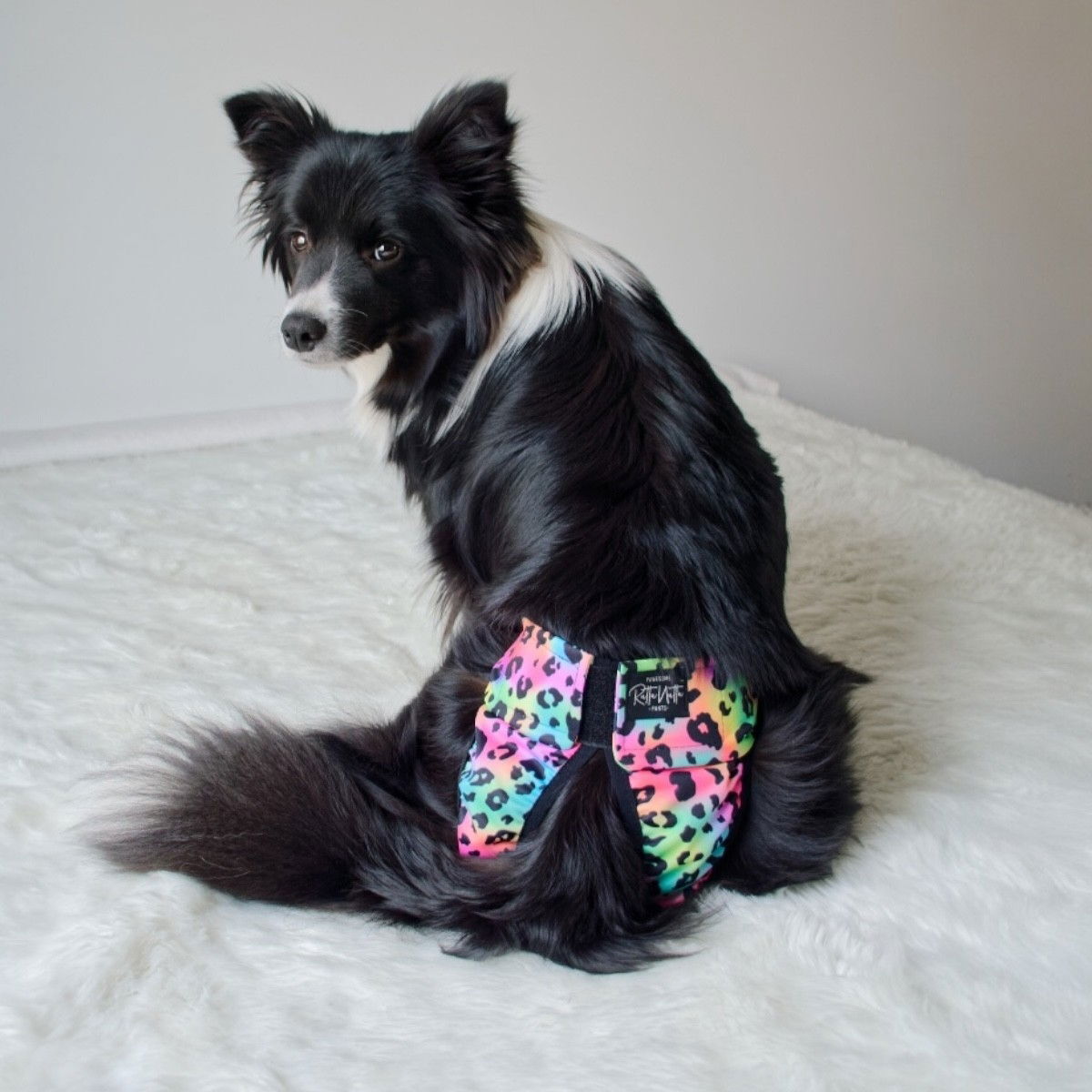 RuttuNuttu heat pants wraparound, rainbow leopard