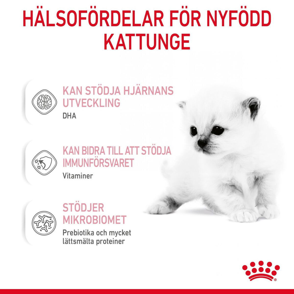 Royal Canin Babycat Milk mjölk för kattunge