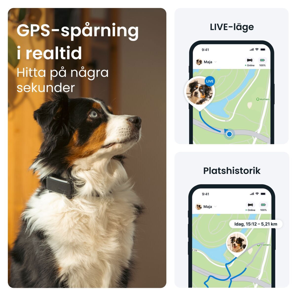 Tractive for DOG 6 tracker