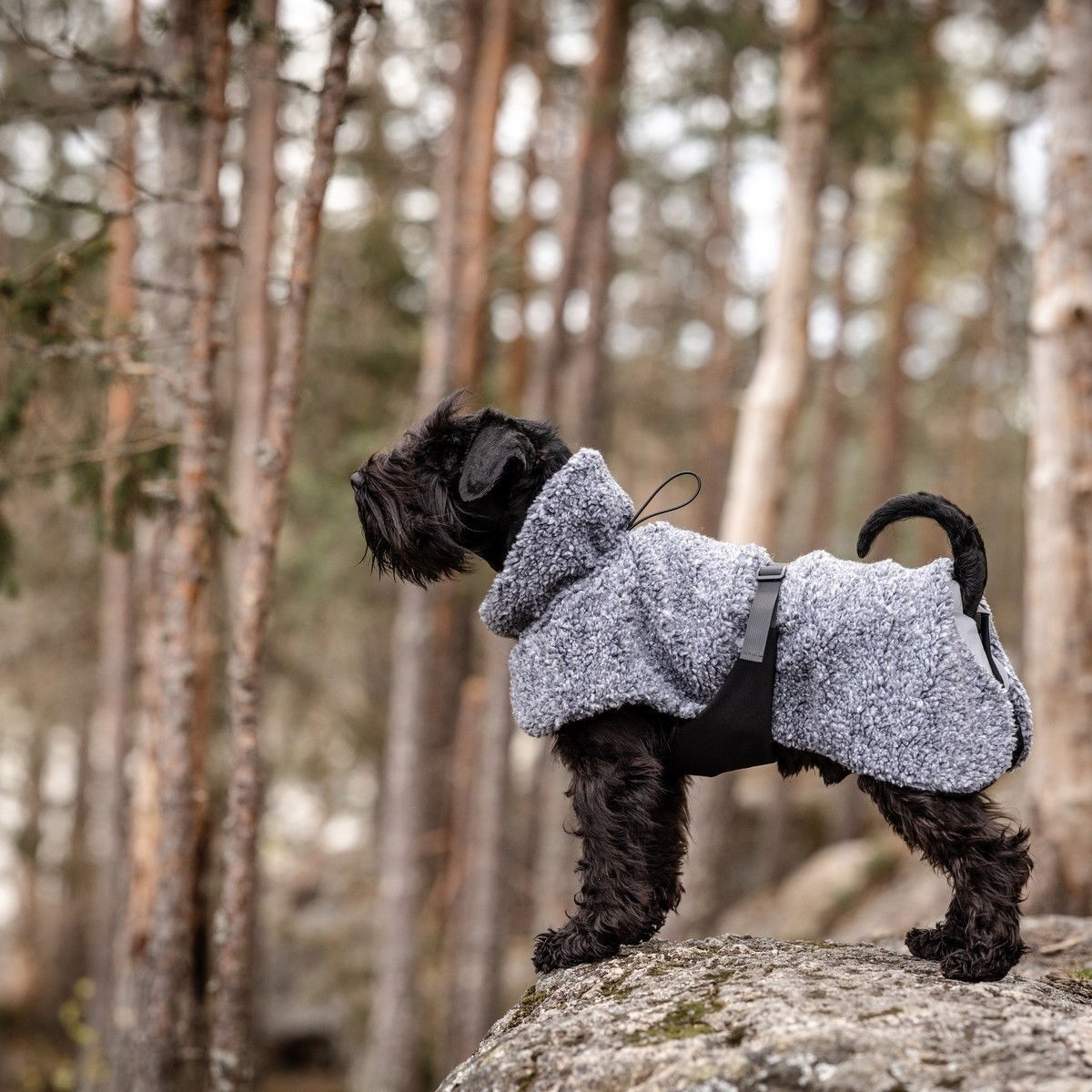 Feel Active Pokka jacket grey