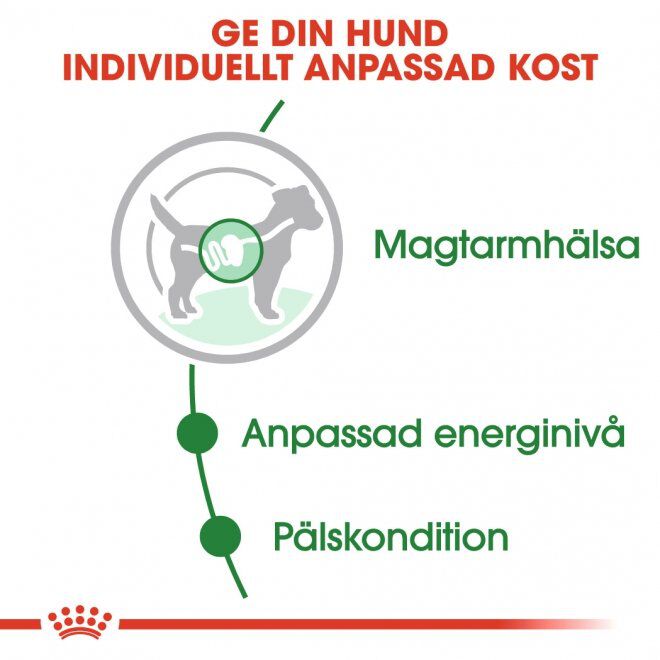 Royal  Canin Mini Adult Gravy våtfoder för hund