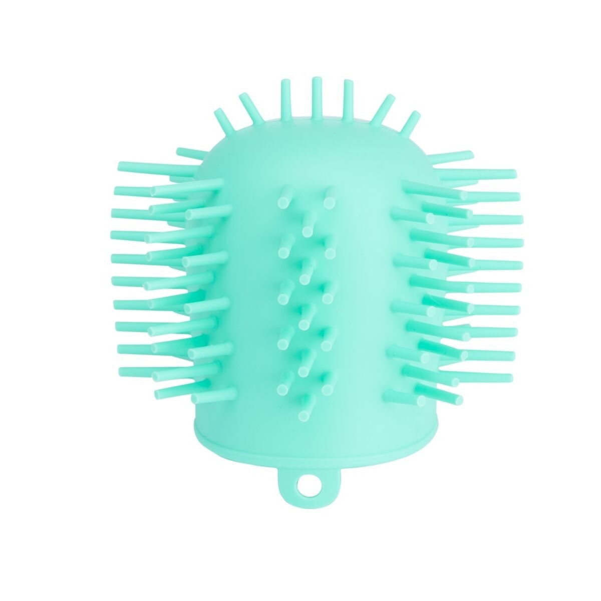 Little&Bigger Care paw washer mint