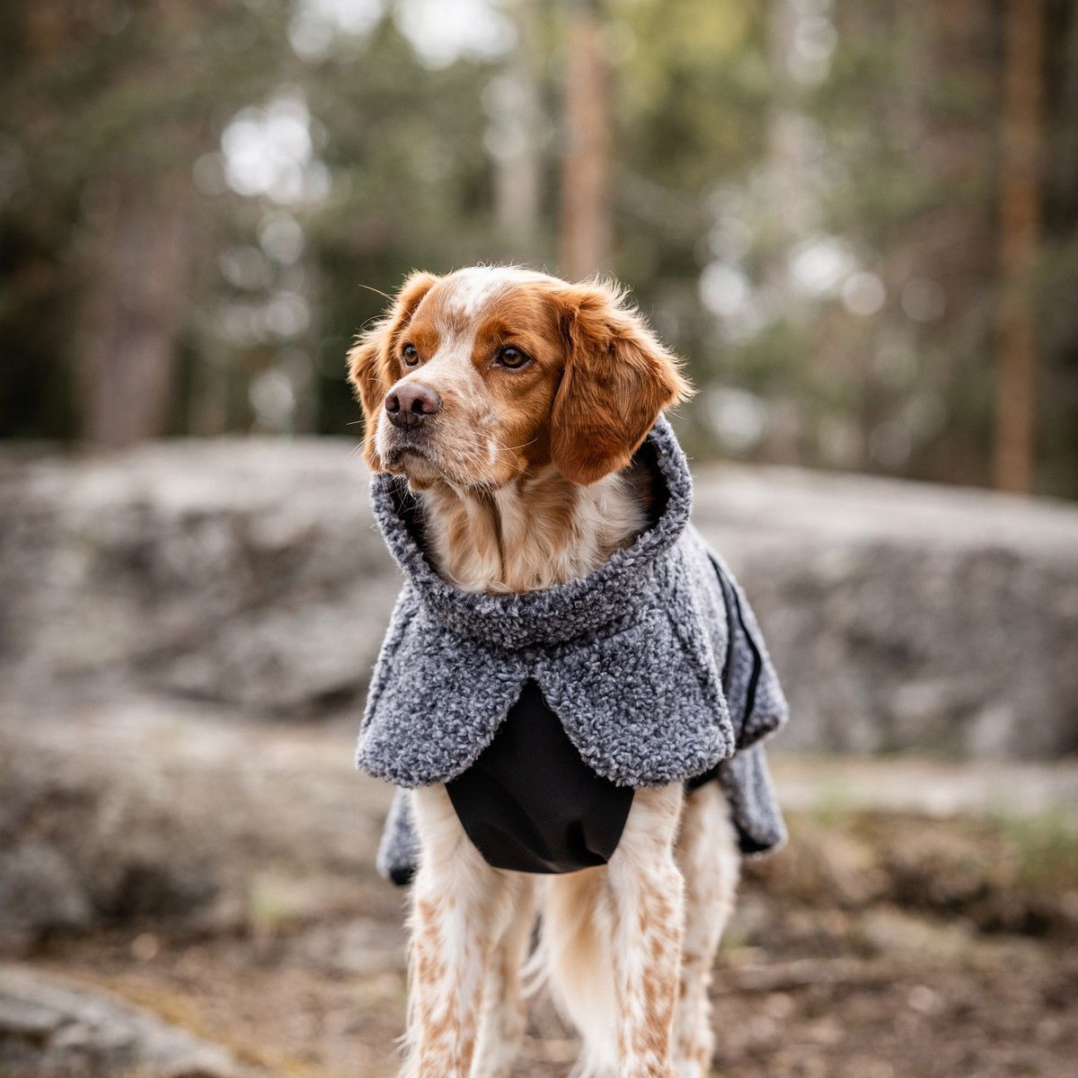 Feel Active Pokka jacket grey