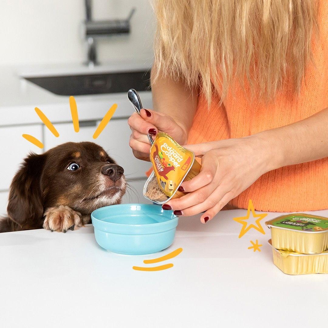 Edgard & Cooper Dog Multipac 6x100g