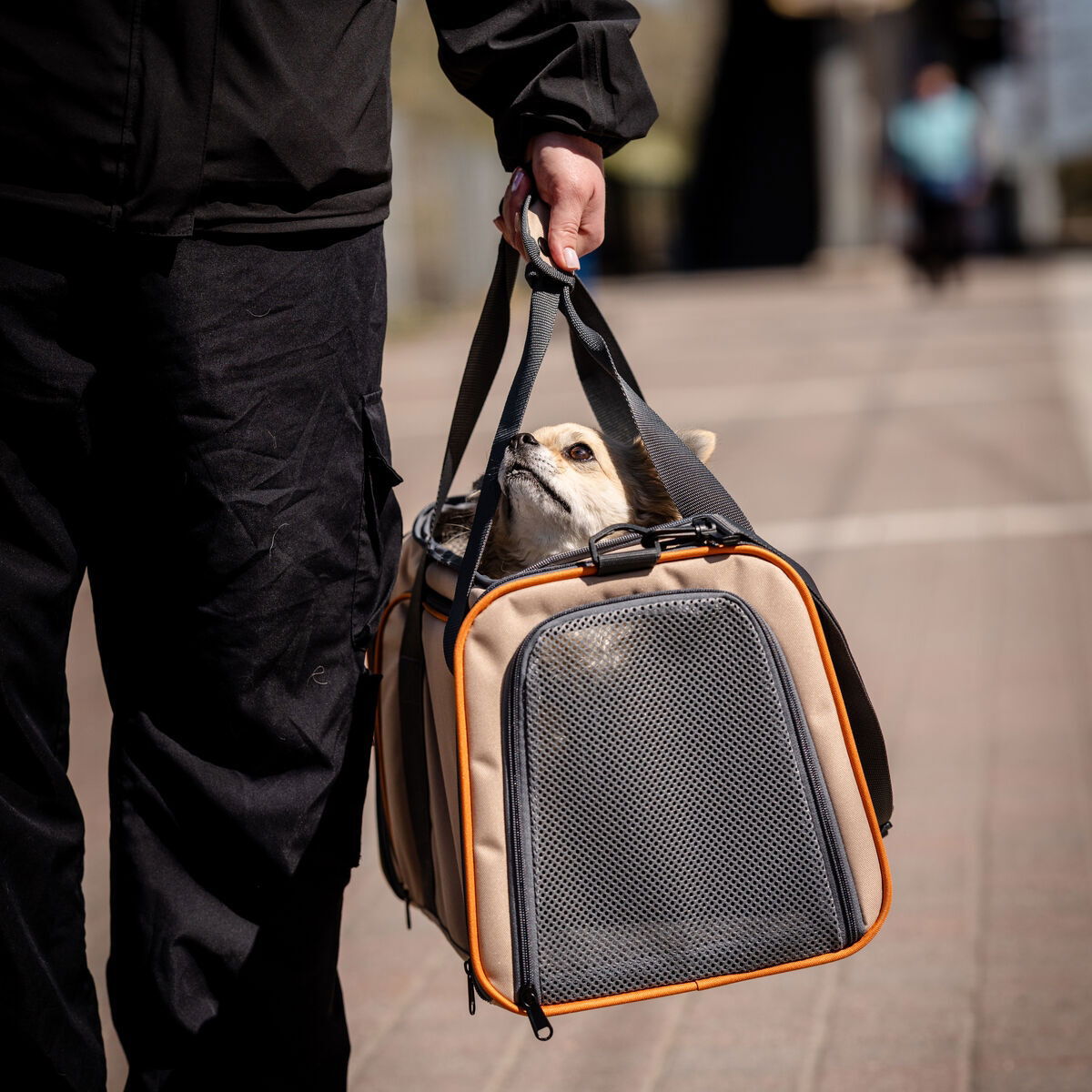 Feel Active Tour travel carrier with two expandable sides beige