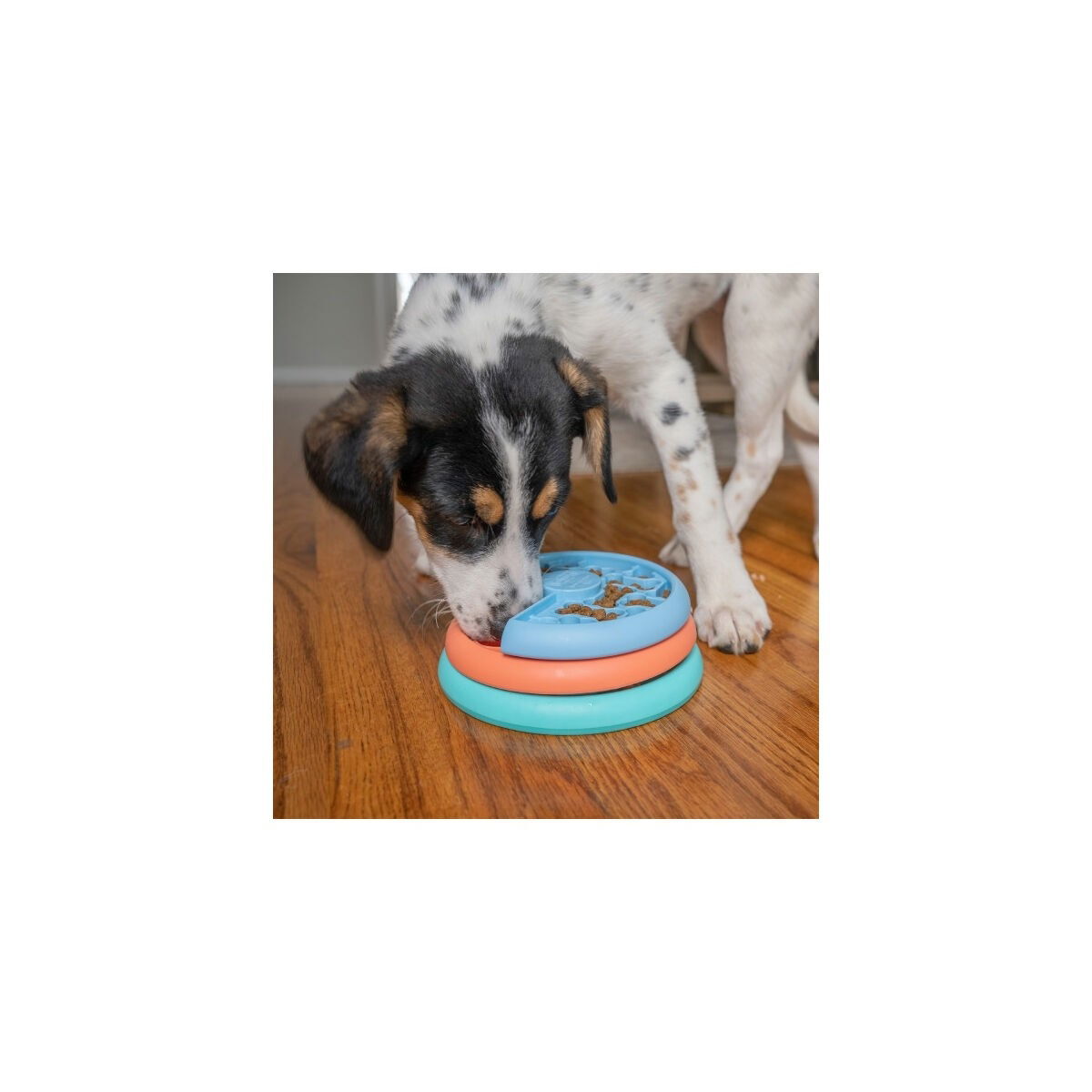 Nina Ottosson Lickin' Layers Puppy Food puzzle