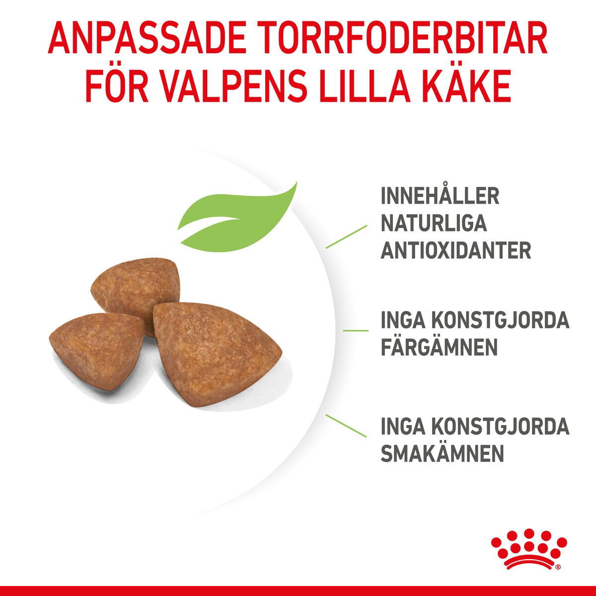 Royal Canin X-small Puppy torrfoder för hundvalp