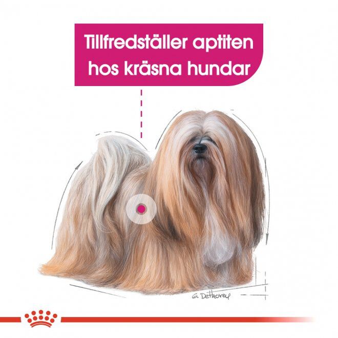 Royal Canin Mini Exigent