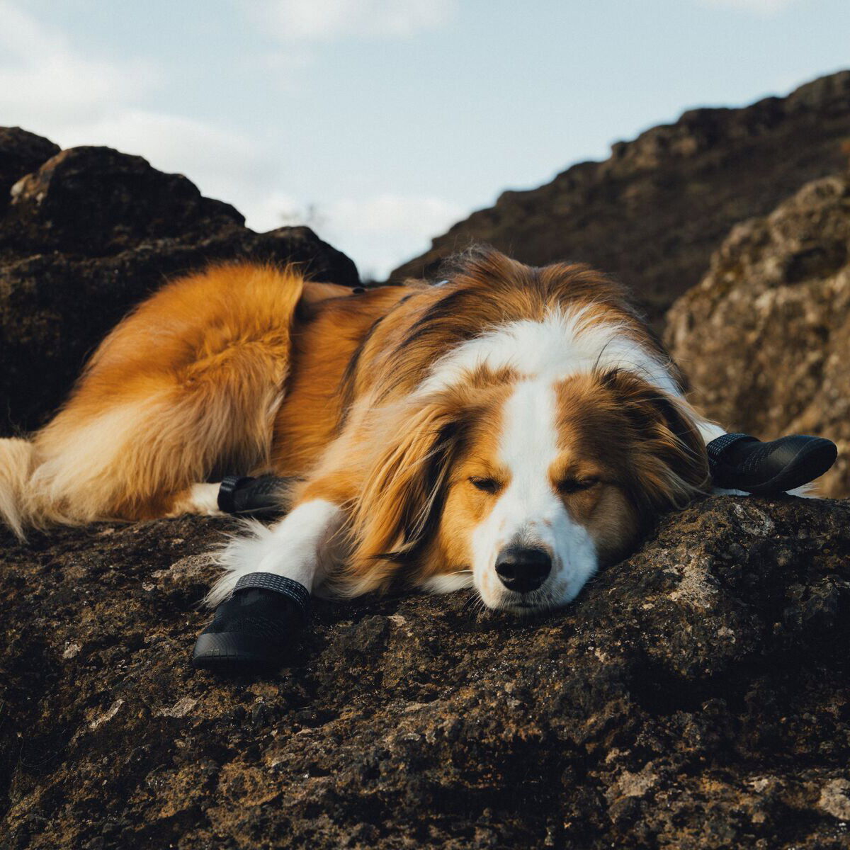 Ruffwear Ridgeline Shoes Obsidian Black