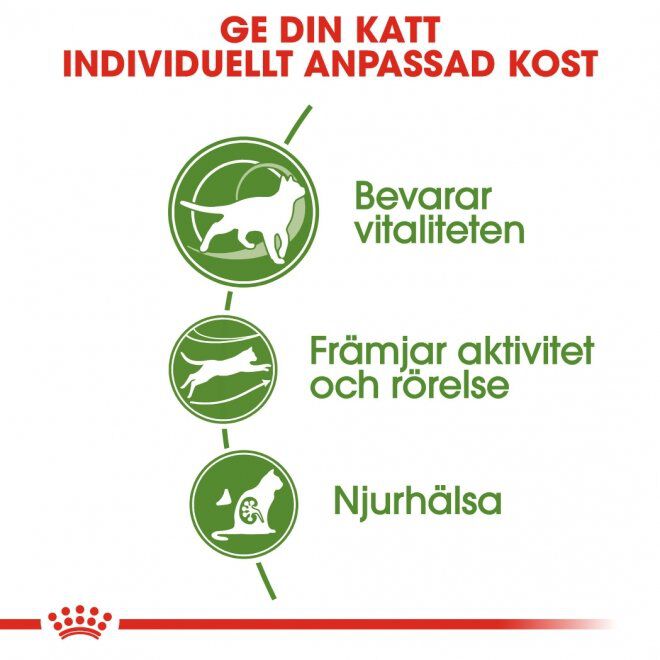Royal Canin Outdoor 7+ Ageing torrfoder för katt