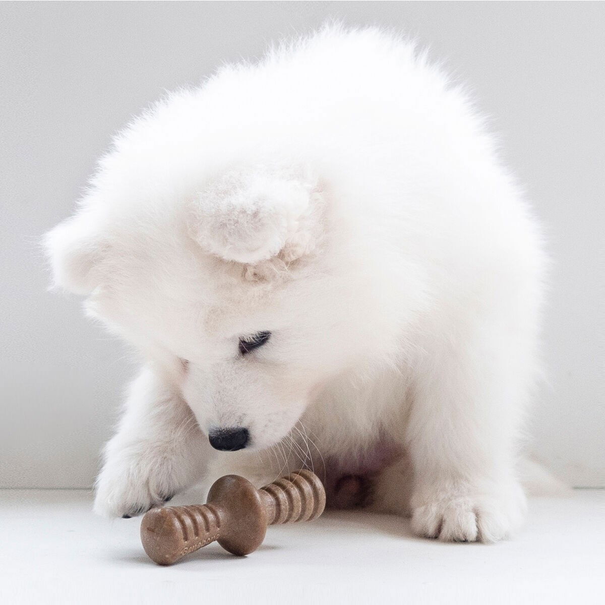 BB Puppy 2-Pack Maplestick/Zaggler Bacon Tiny