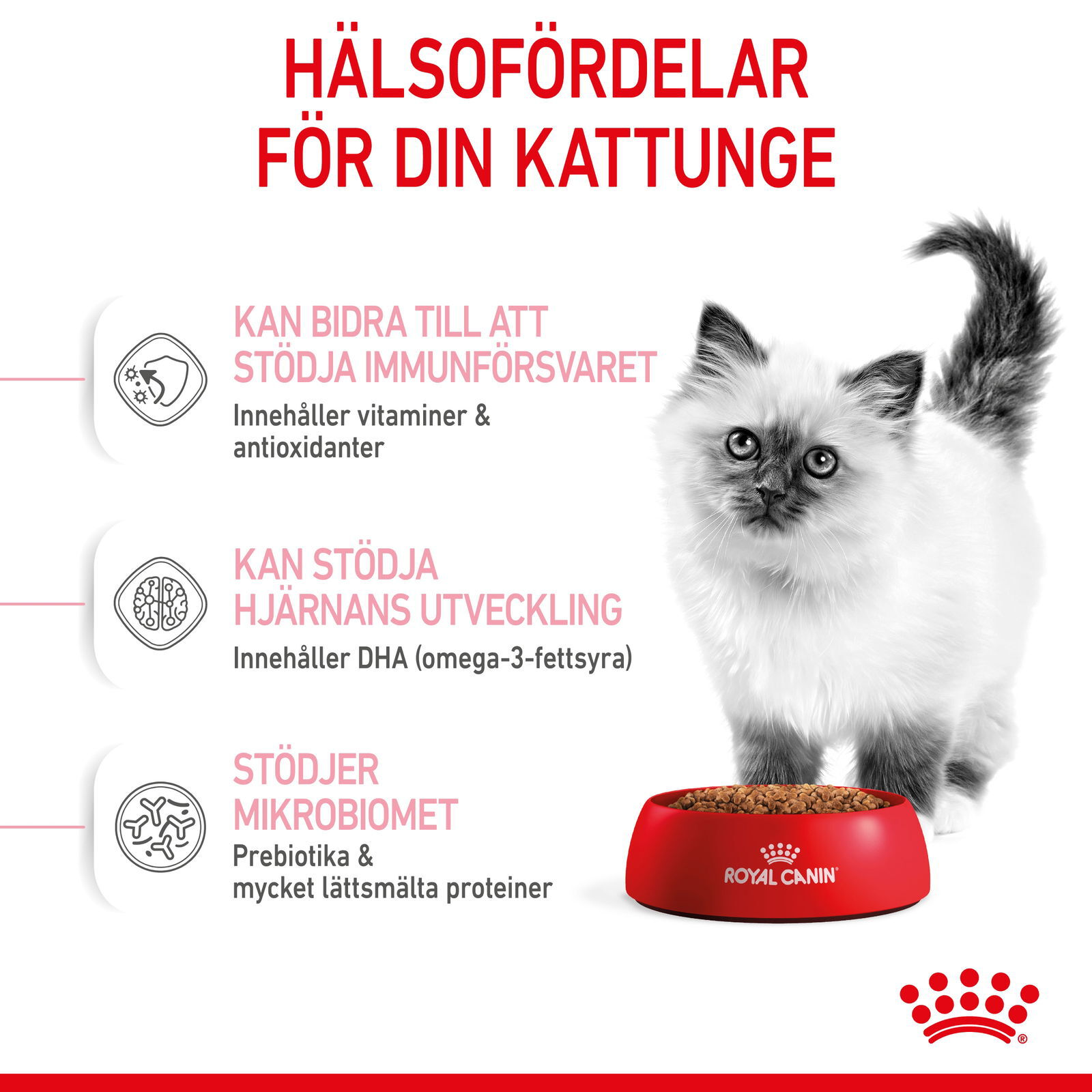 Royal Canin Kitten torrfoder för kattunge