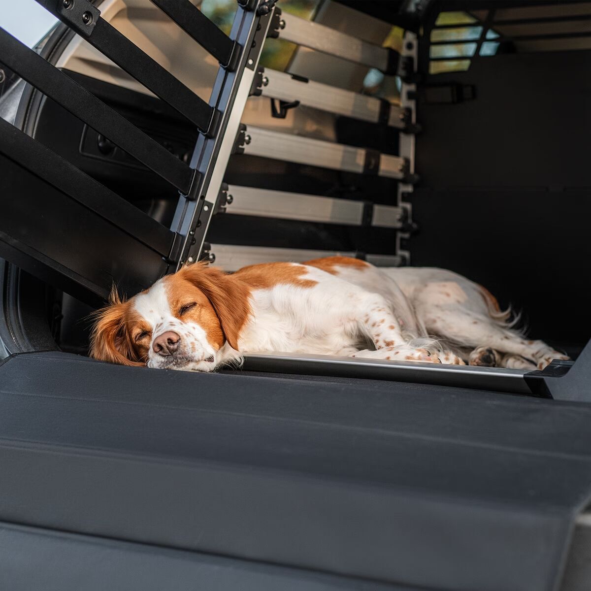 Thule Dog Mat Double
