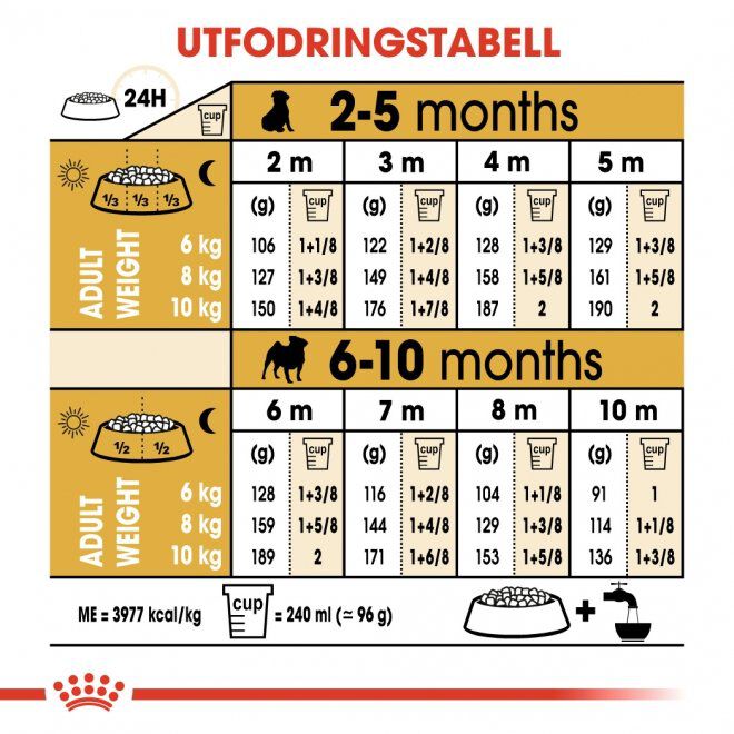 Royal Canin Breed Pug Junior