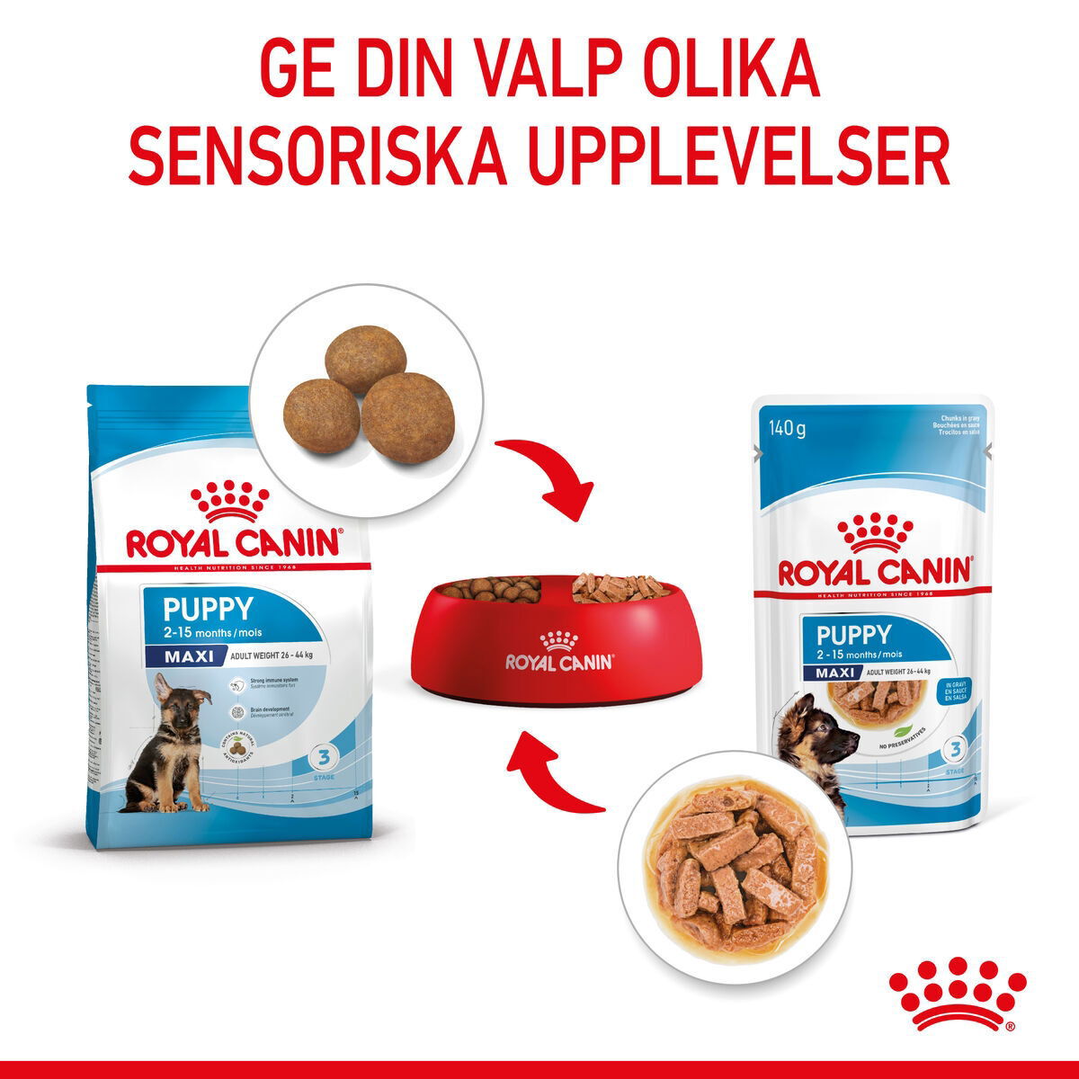 Royal Canin Maxi Puppy Gravy våtfoder för hundvalp