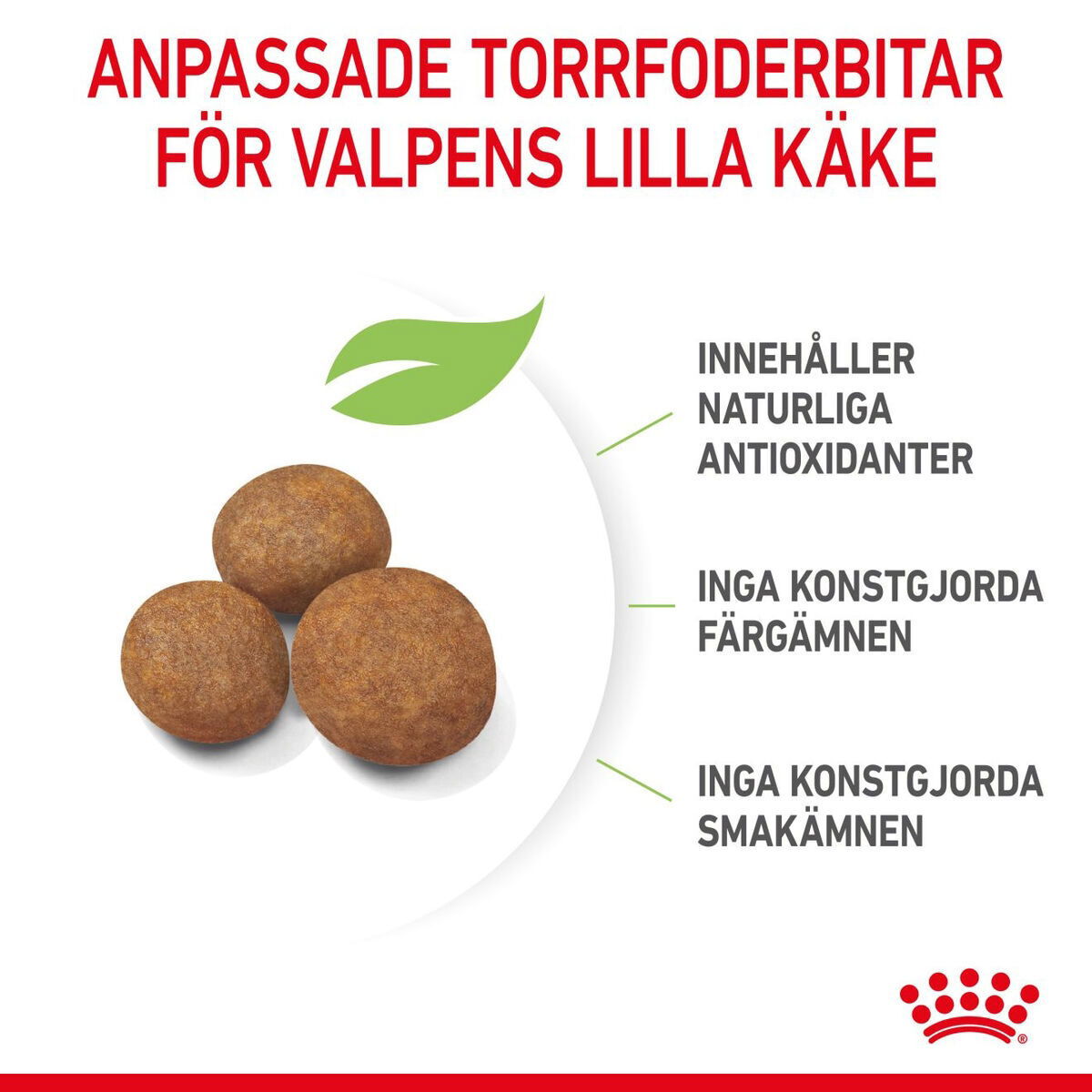 Royal Canin Giant Puppy torrfoder för hundvalp