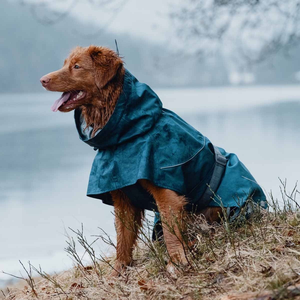 Hurtta Monsoon Coat bilberry