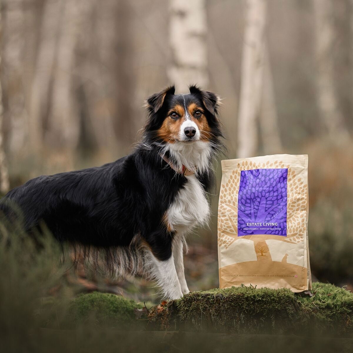 ESSENTIAL ESTATE LIVING SMALL BREED 2,5kg