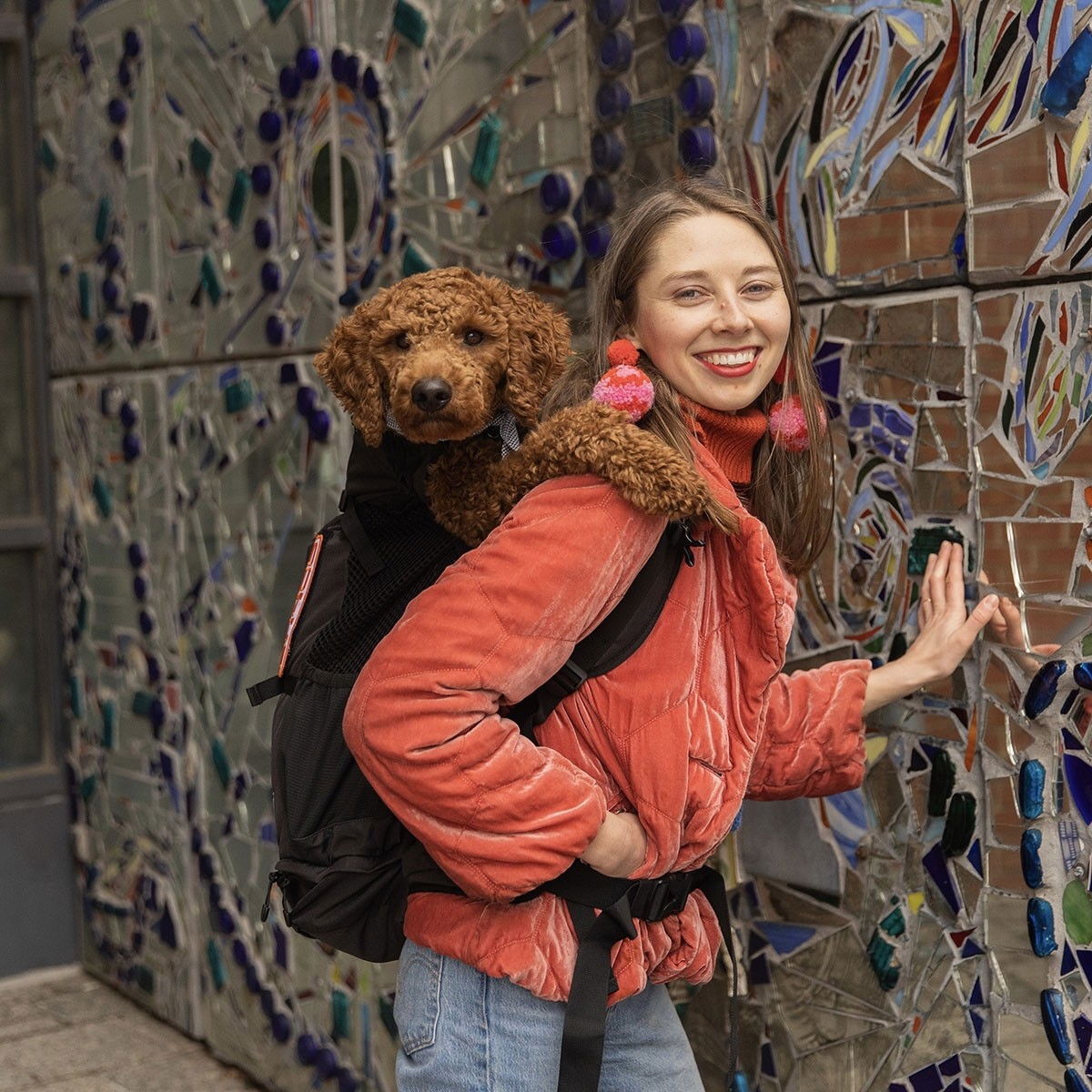 K9 Sport Sack Air 2, Jet Black