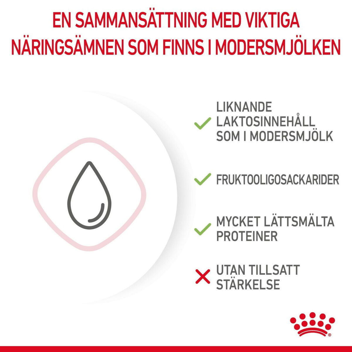 Royal Canin Babycat Milk mjölk för kattunge