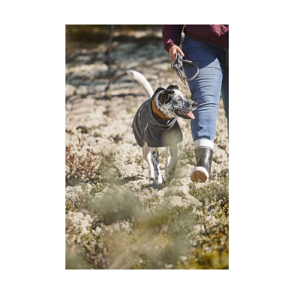 Hurtta Mudventure Coat ECO blackberry