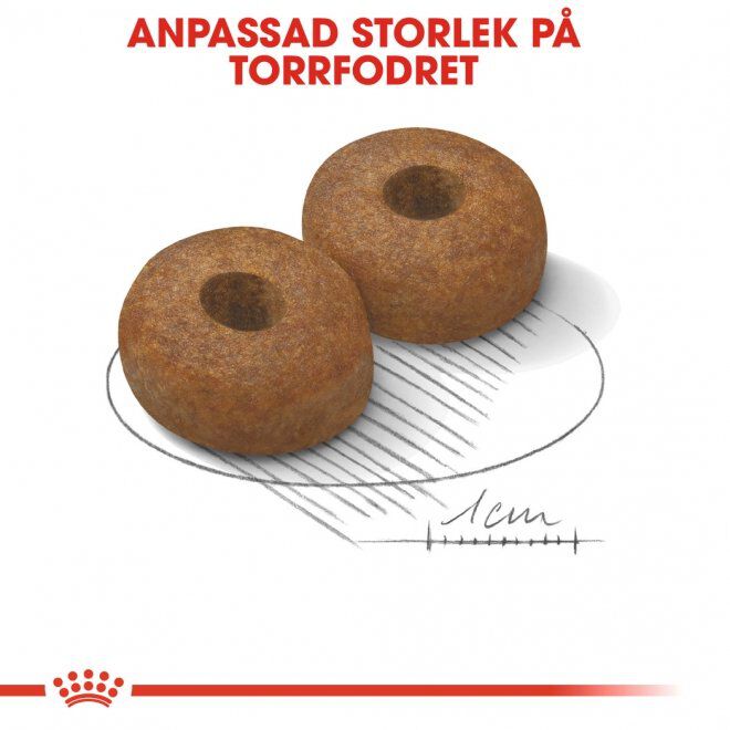 Royal Canin Maxi Ageing 8+ torrfoder för hund