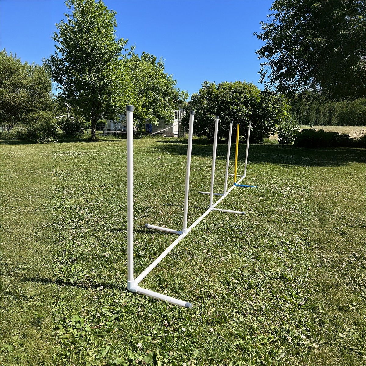 PetEasy Dog Agility set