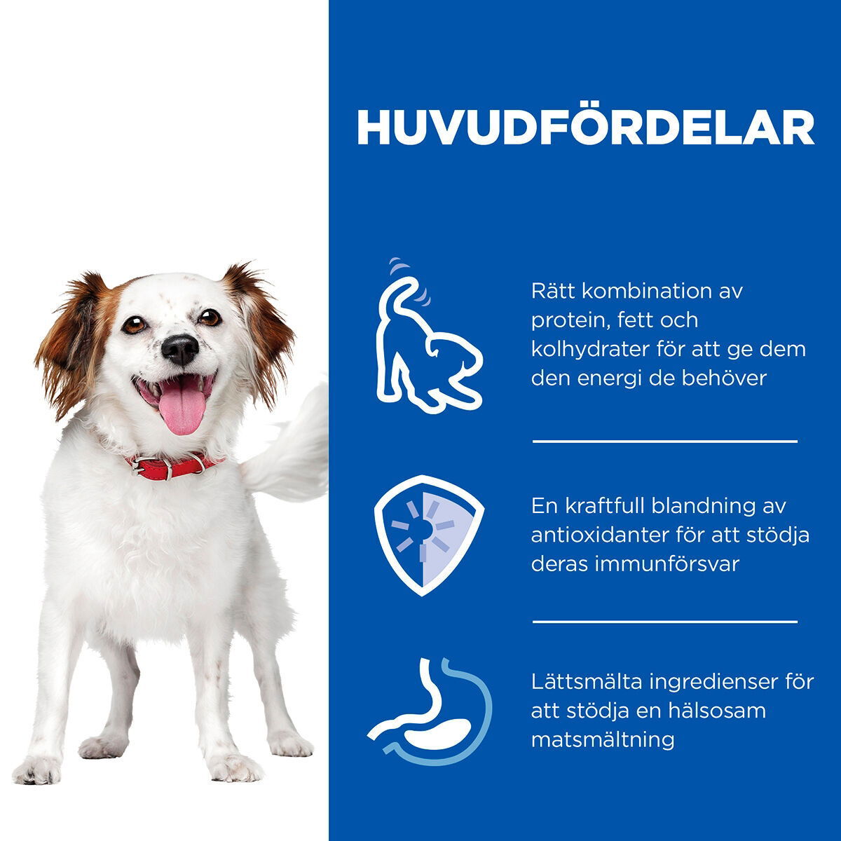 Hill's SP Canine Small & Mini Beef 200g