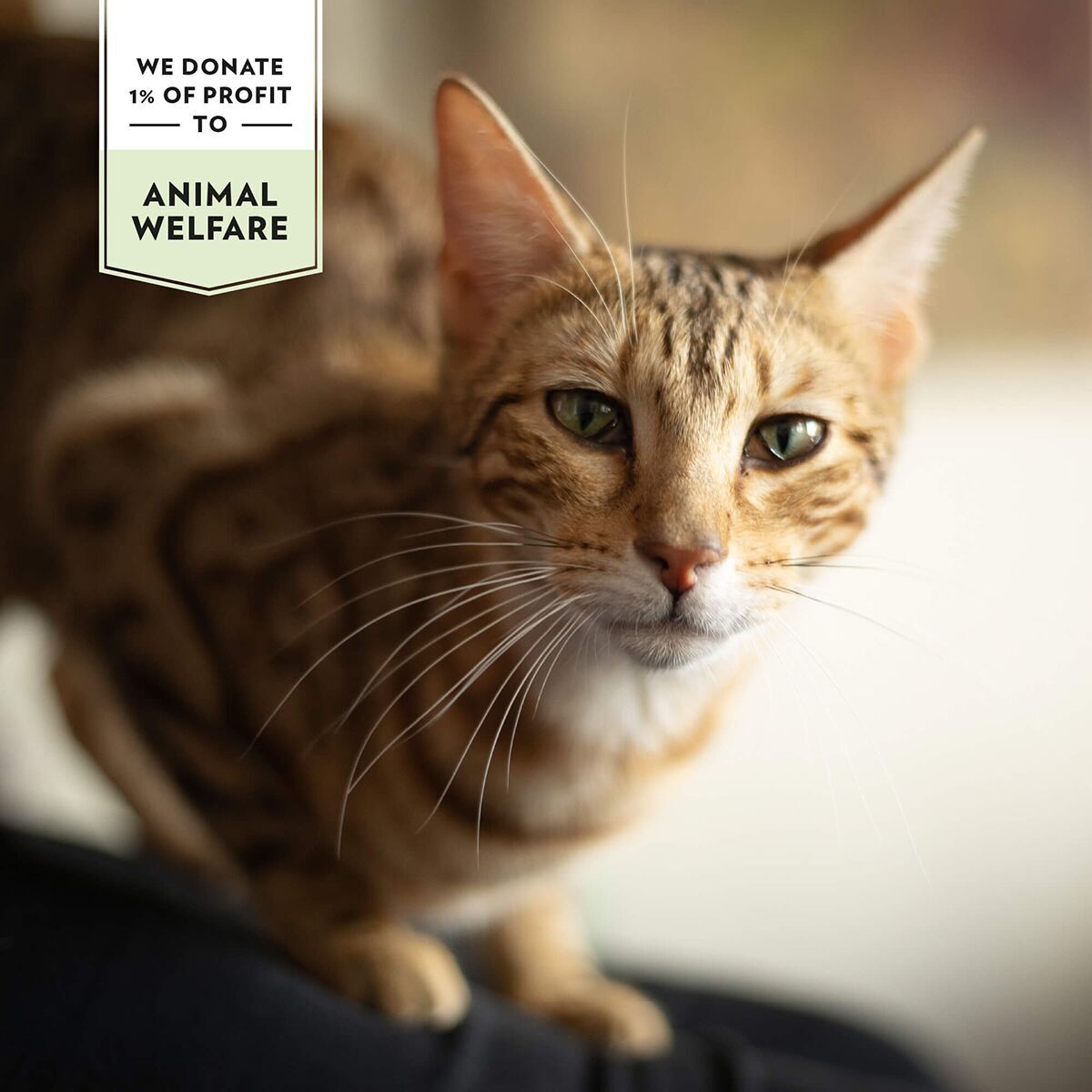 Prima Cat Crunchy Anti-hairball