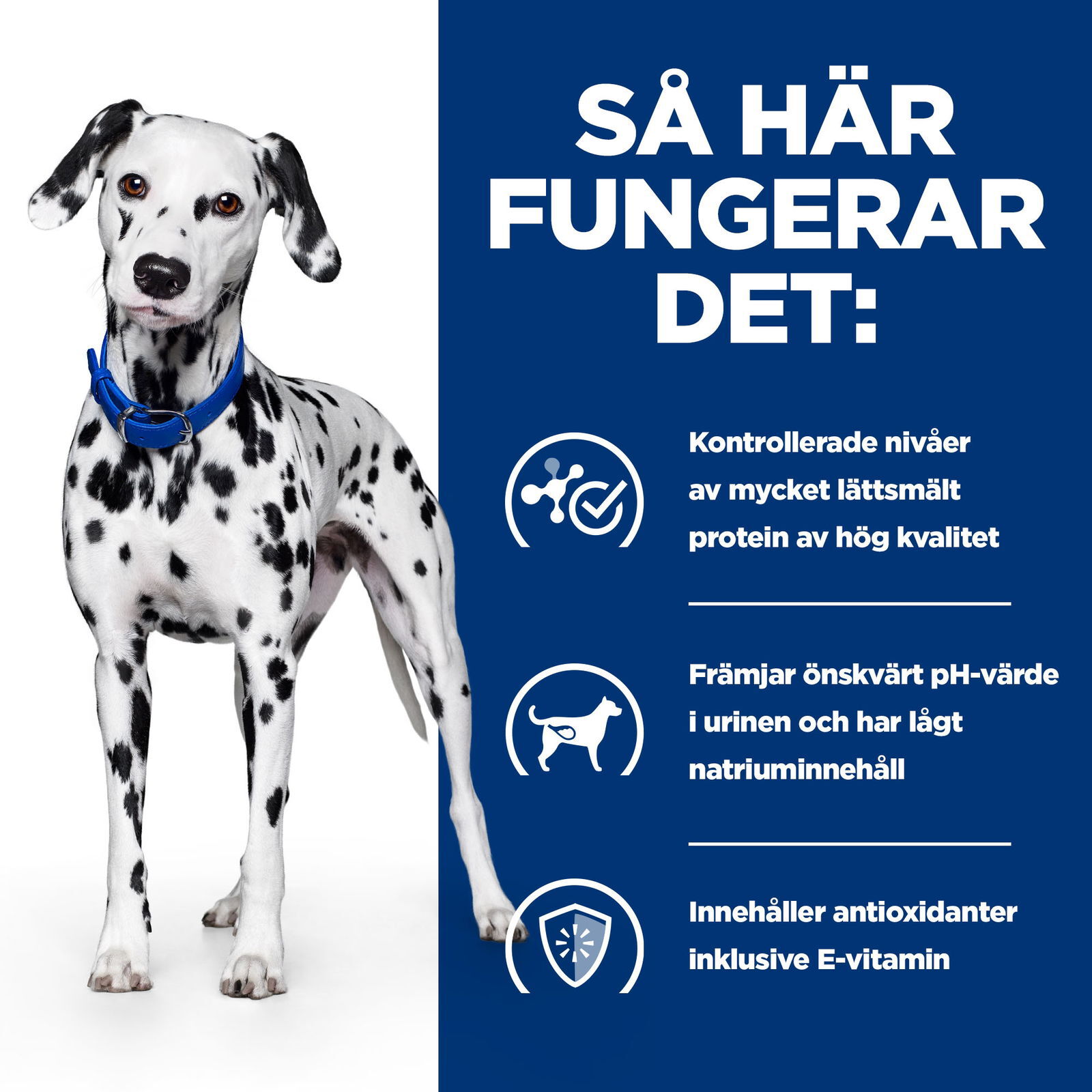 Hills Diet Dog u/d