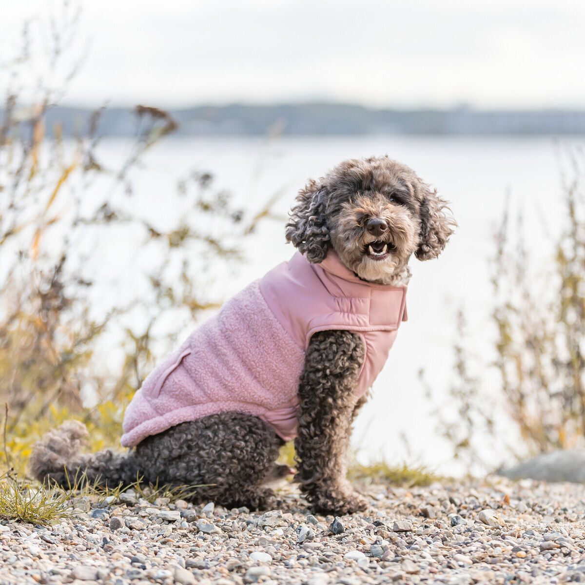 Trixie Ajou Vintertäcke till Hund Rosa