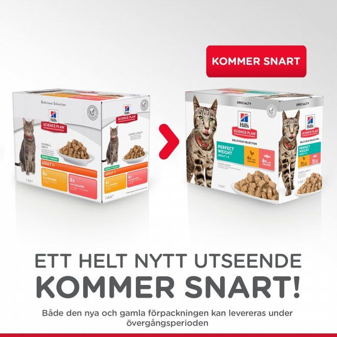 Hill's Science Plan Cat Perfect Weight Chicken&Salmon 12x85 g