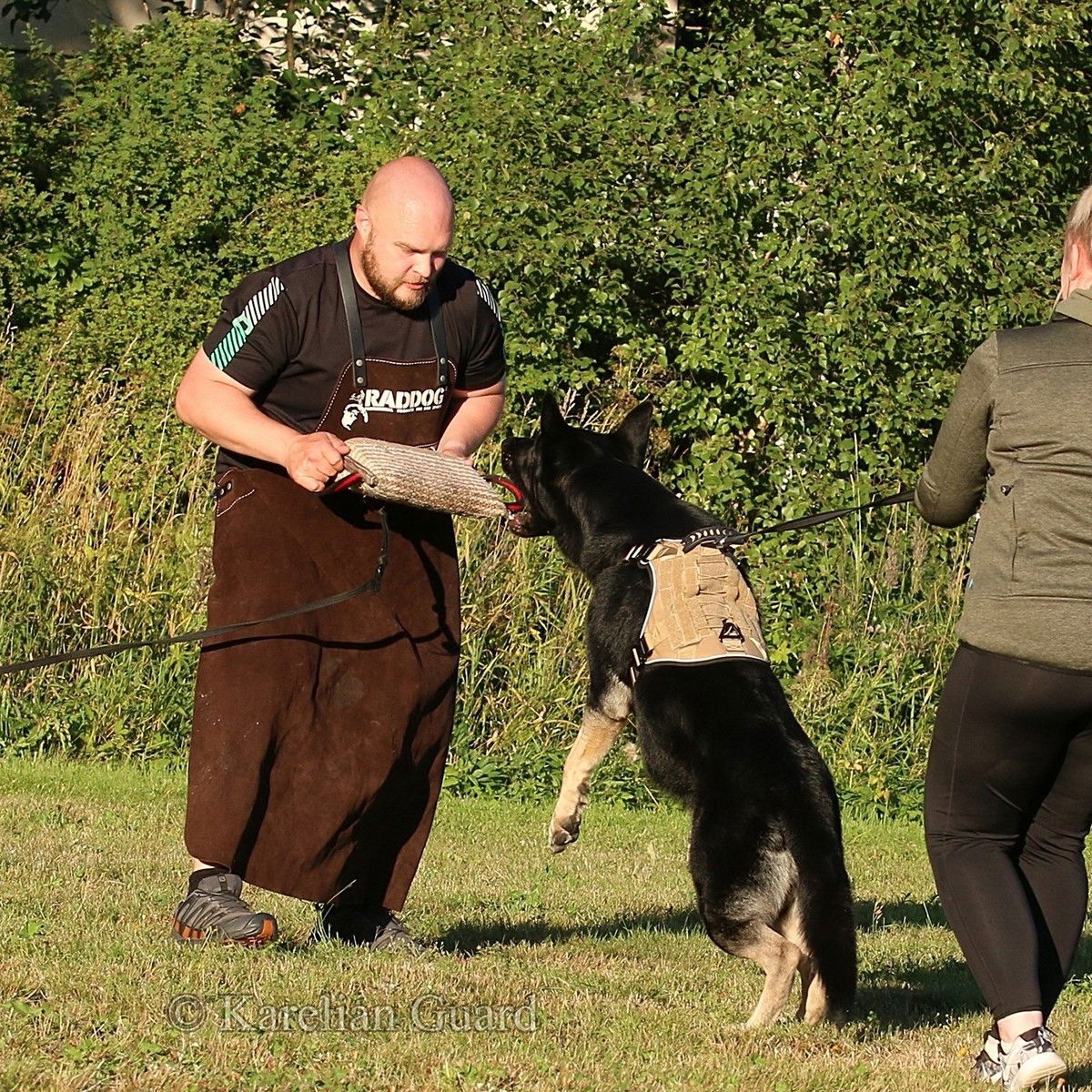 Cerberos Tactical harness Desert Brown