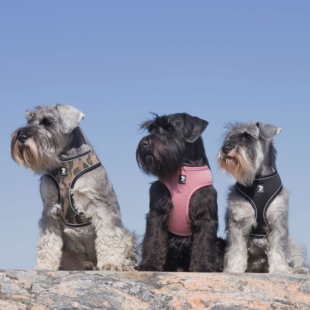 Feel Active Soft Sele Rosa