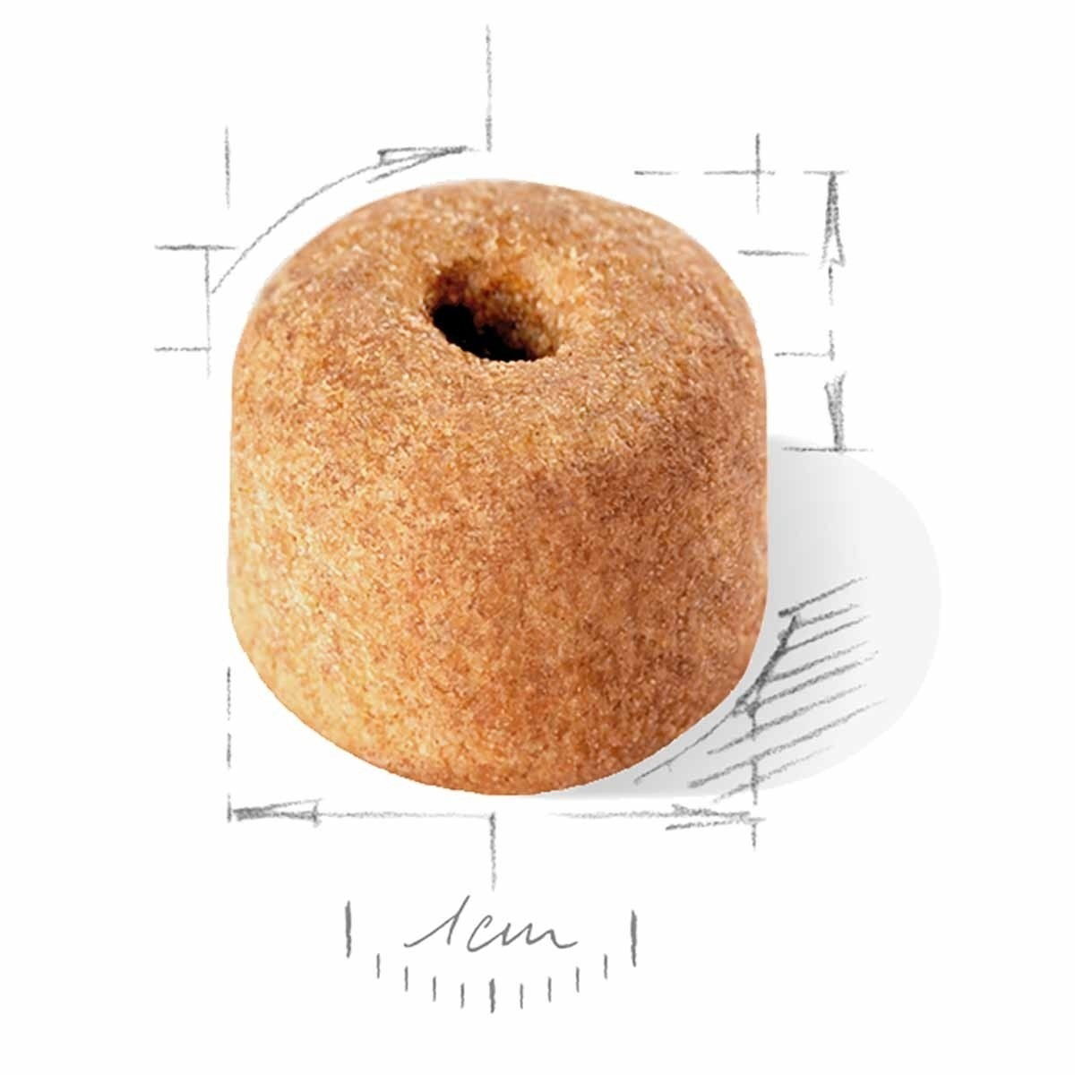 Royal Canin Labrador Retriever Adult 5+ torrfoder för hund