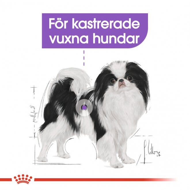 Royal Canin Sterilised X-small Adult torrfoder för hund