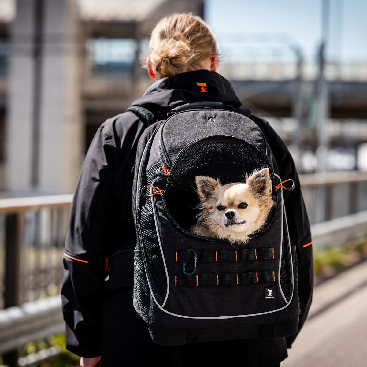 Feel Active Explore backpack black