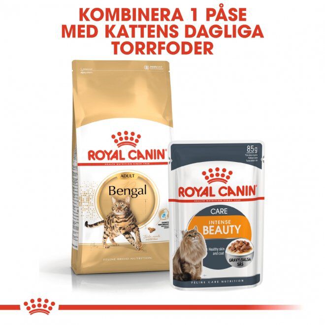 Royal Canin Bengal Adult torrfoder för katt