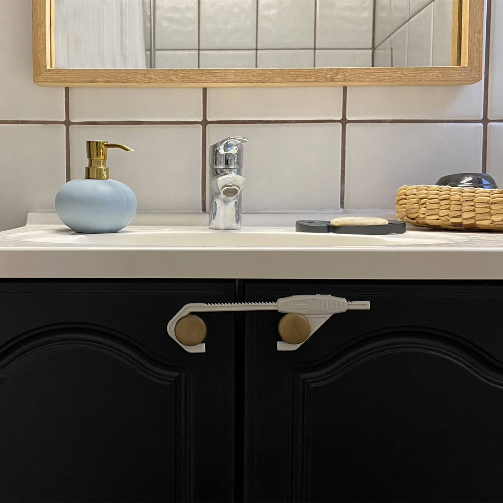 DogSpace Puppy Starter set