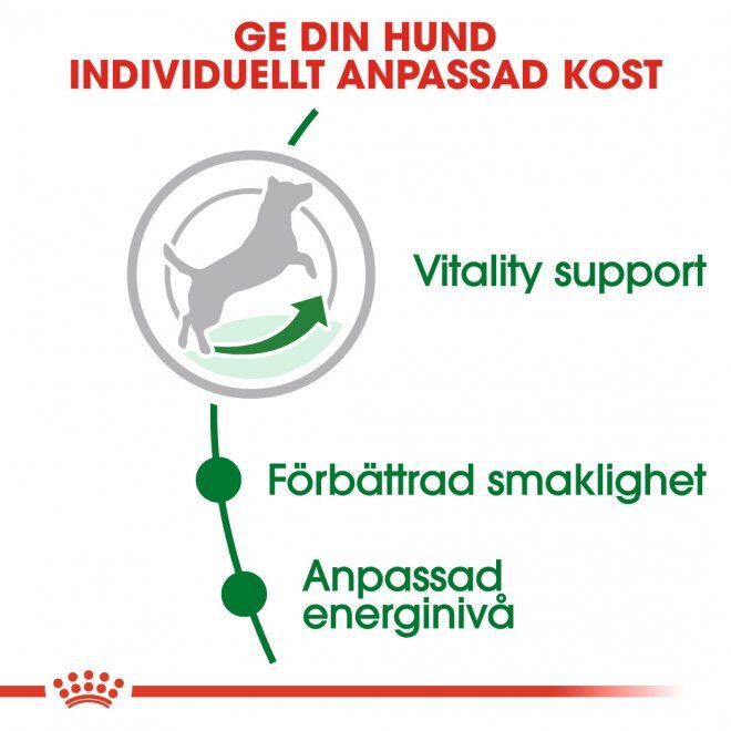 Royal Canin Mini Adult 8+ torrfoder för hund