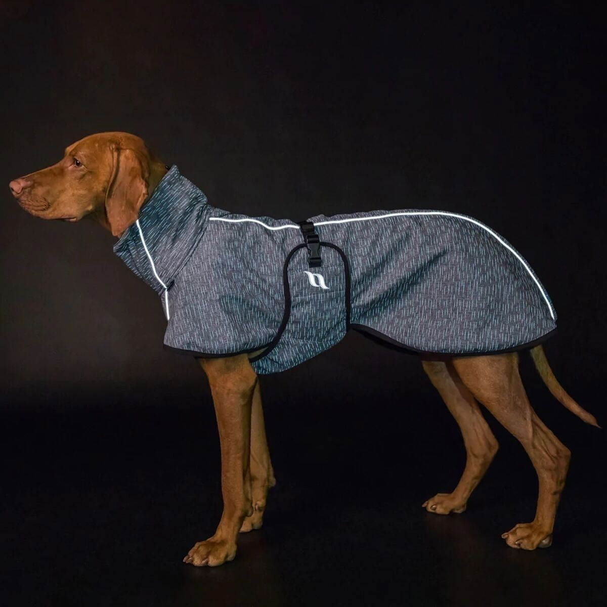 Back On Track Dog rug Nella, grey